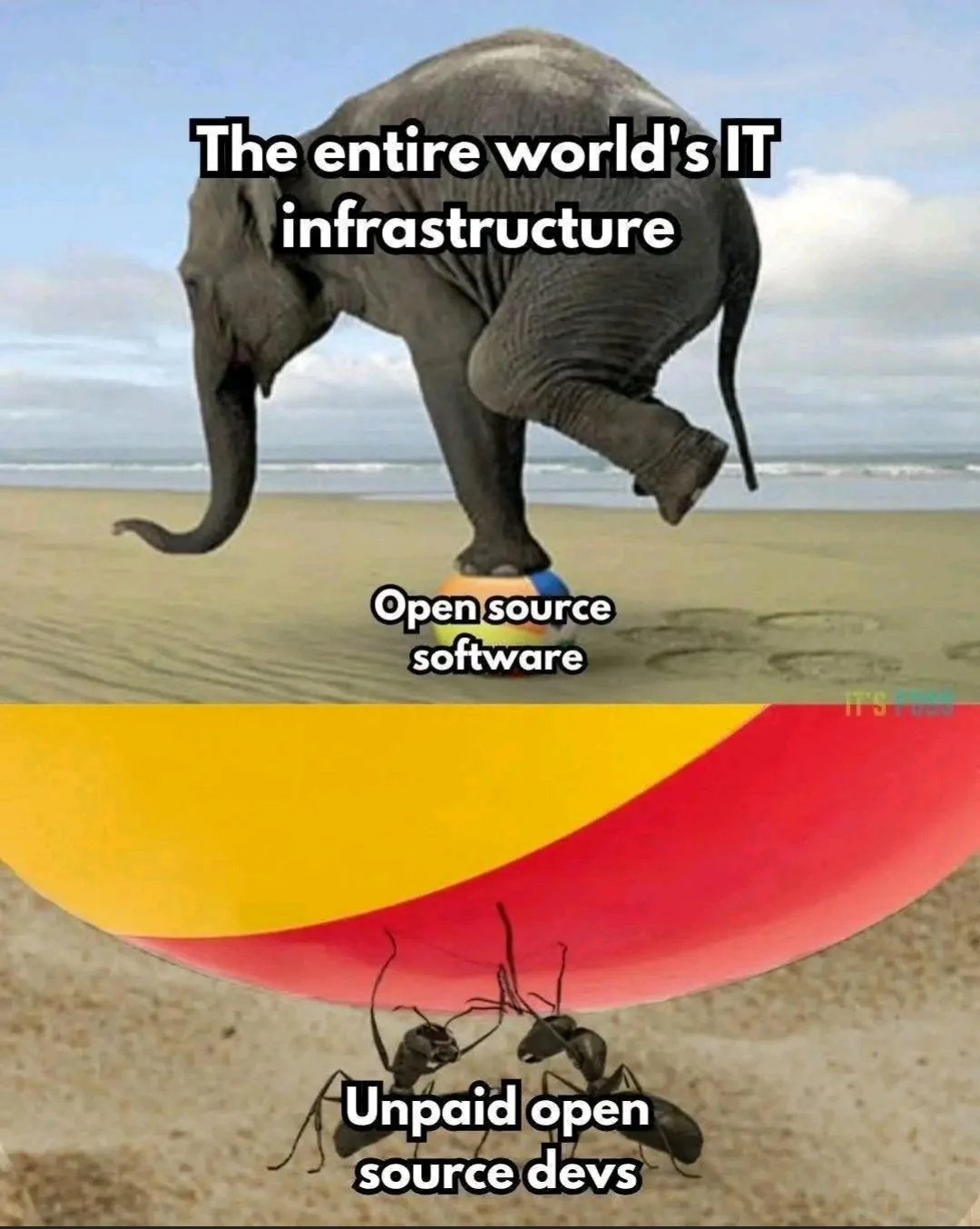 A meme showing an Elephant balancing on a beach ball, the elephant is labelled "The entire world's IT infrastructure", the beach ball labelled "Open source software", underneath the ball there are ants holding it up labelled "unpaid open source devs"