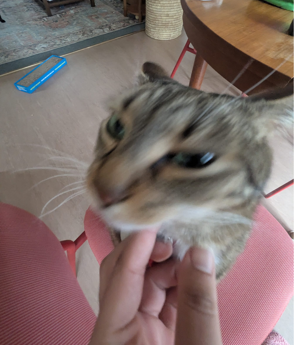 Why I quit my 9-to-5 to start Maat Systems